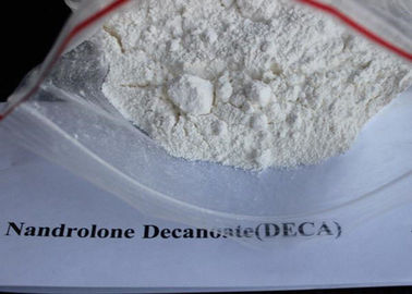 Esteroide branco de CAS 7207-92-3 Deca Durabolin do pó, GV do pó de Decanoate do Nandrolone aprovado