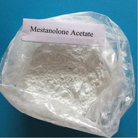 Testosterona CAS esteroide 521-11-9 do pó de Mestanolone do músculo do ganho de 99%