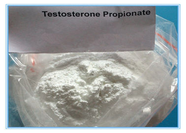 Esteroide da injeção de Propinoate do teste de CAS 57-85-2 do pó da testosterona