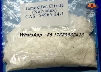 Pó cristalino branco dos esteroides do construtor da hormona estrogênica do citrato do Tamoxifen de CAS 54965-24-1 Nolvadex