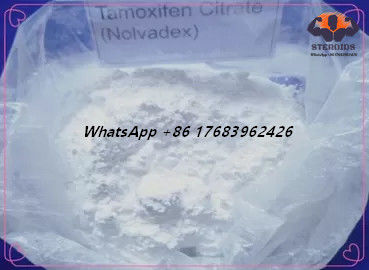 Citrato CAS 54965-24-1 Nolvadex CAS 54965-24-1 do Tamoxifen dos esteroides da hormona estrogênica do pó branco anti